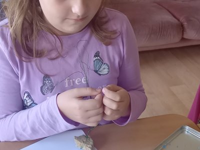 Listopad 2022 ve školní družině